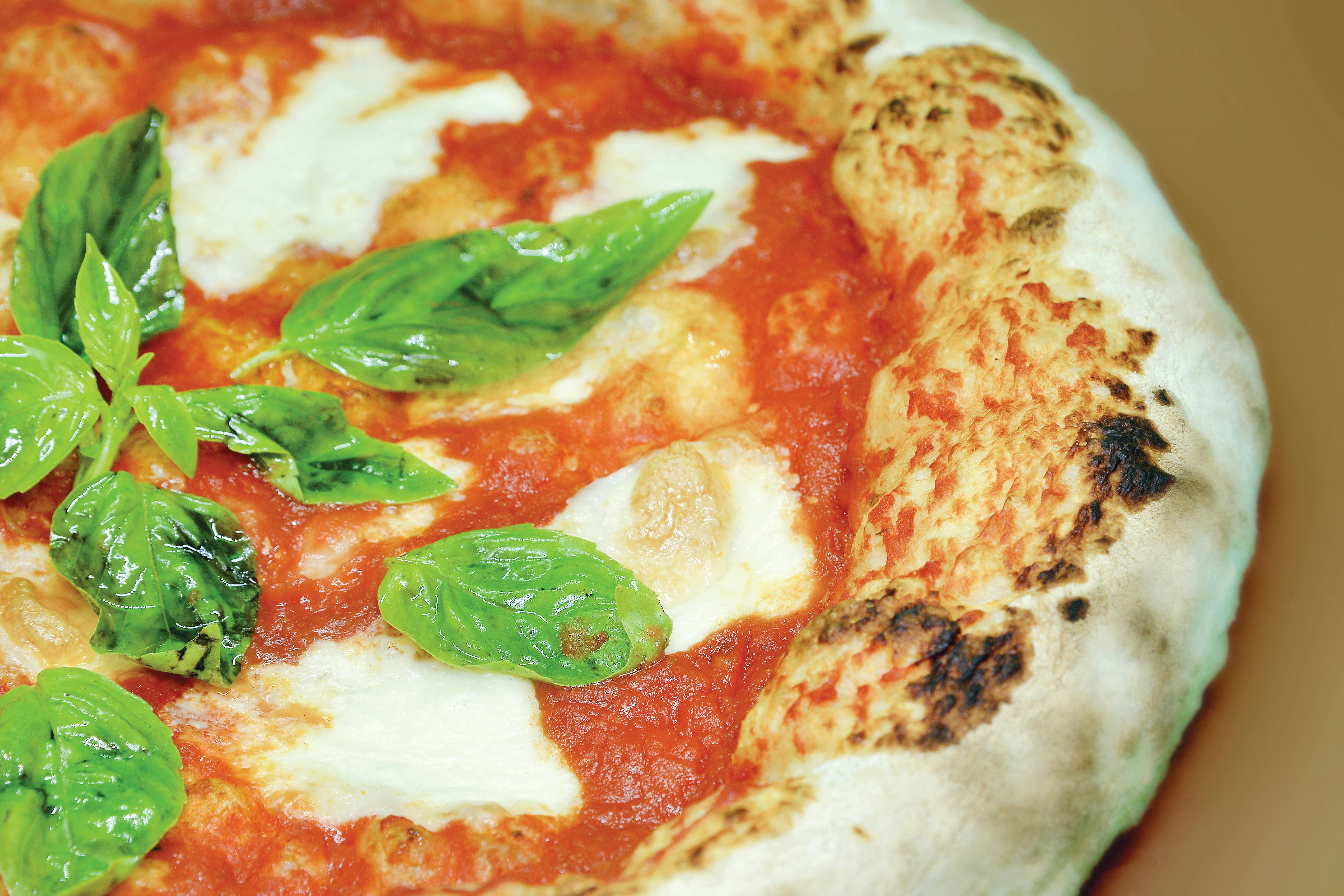 pizza margherita